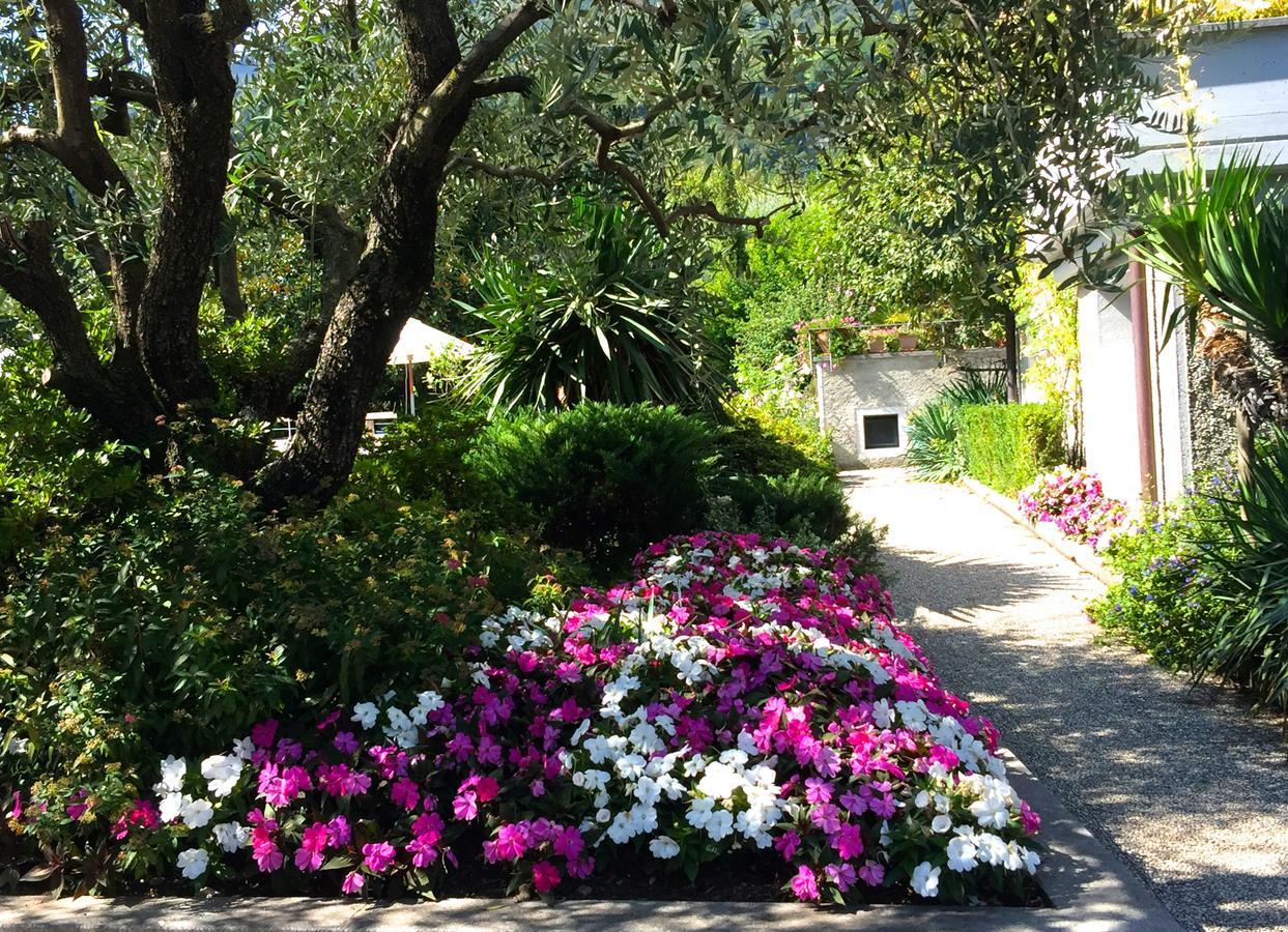 Iris 1 Lago Di Como Leilighet Dongo Eksteriør bilde